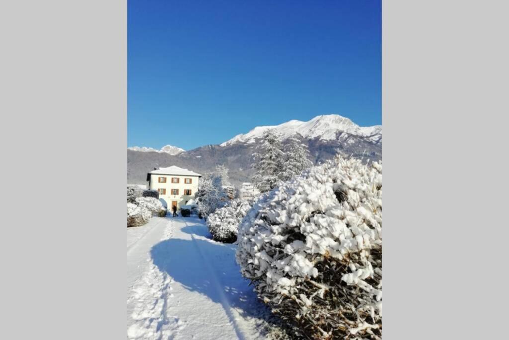 Villa Perale: La Tua Casa Alle Pendici Delle Dolomiti Μπελούνο Εξωτερικό φωτογραφία